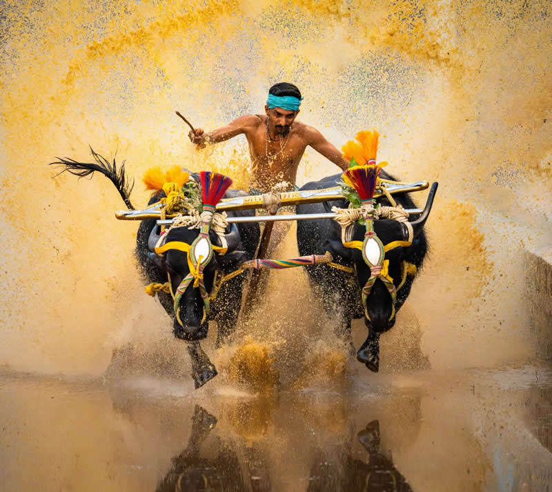 Independent Photographer Awards 2025 Best Photos