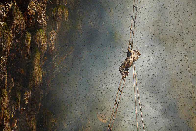 Traditional Honey Hunters in Central Nepal by Andrew Newey