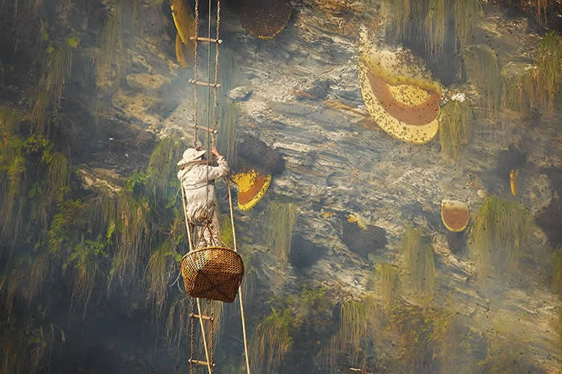 Traditional Honey Hunters in Central Nepal by Andrew Newey
