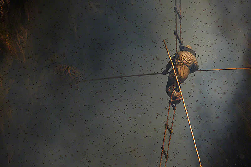 Traditional Honey Hunters in Central Nepal by Andrew Newey