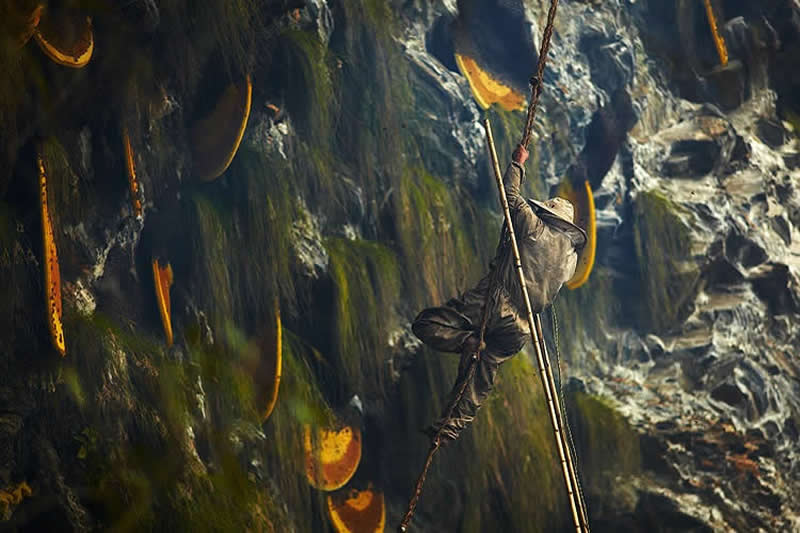 Traditional Honey Hunters in Central Nepal by Andrew Newey