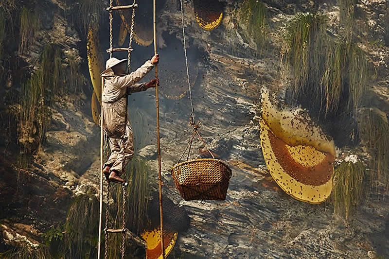 Traditional Honey Hunters in Central Nepal by Andrew Newey
