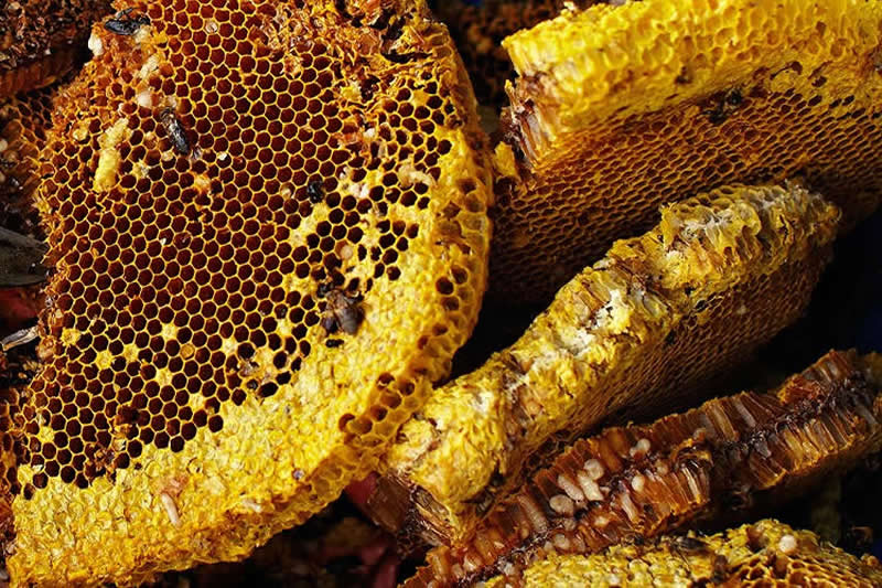 Traditional Honey Hunters in Central Nepal by Andrew Newey