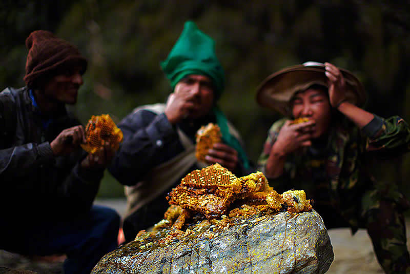 Traditional Honey Hunters in Central Nepal by Andrew Newey