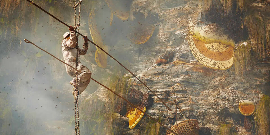 Traditional Honey Hunters in Central Nepal by Andrew Newey