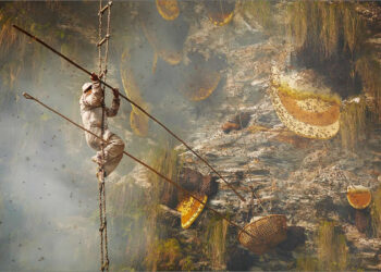 Traditional Honey Hunters in Central Nepal by Andrew Newey