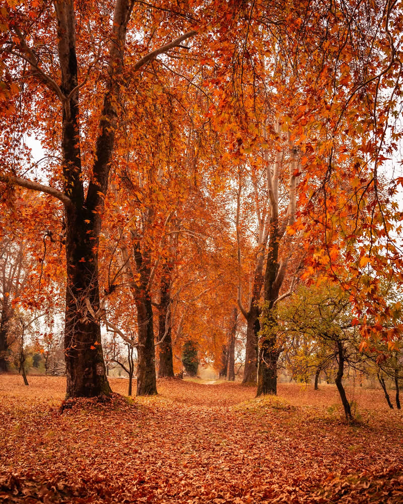 Indian Travel Photography by Ashfaq Ahmad