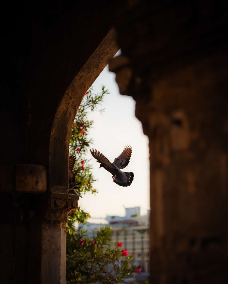 Indian Travel Photography by Ashfaq Ahmad