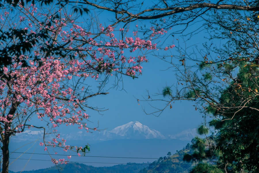 Indian Travel Photography by Ratnadwip Saha