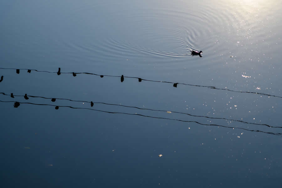 Indian Travel Photography by Ratnadwip Saha