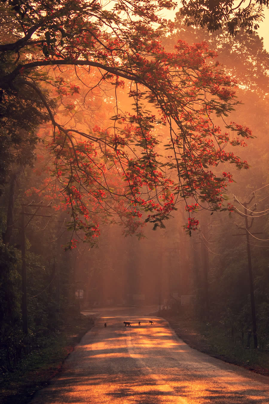 Indian Travel Photography by Ratnadwip Saha