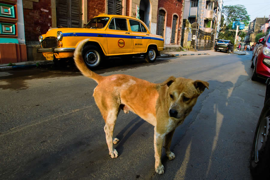 Indian Travel Photography by Ratnadwip Saha