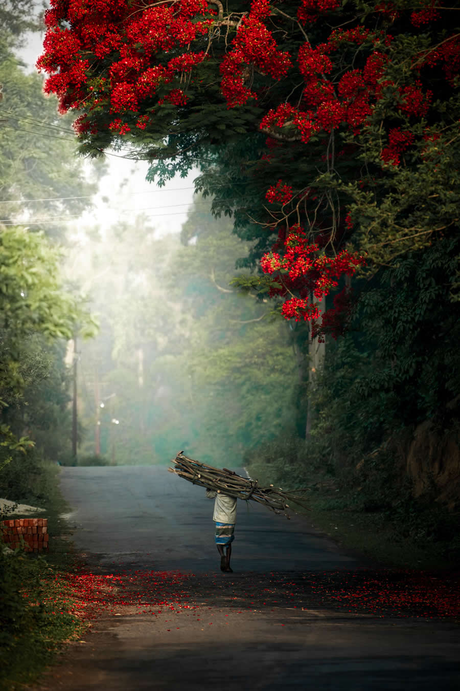 Indian Travel Photography by Ratnadwip Saha