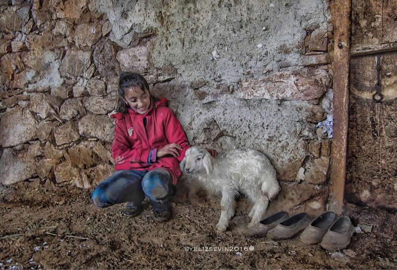 Village Life in Turkey by Yeliz Sevin