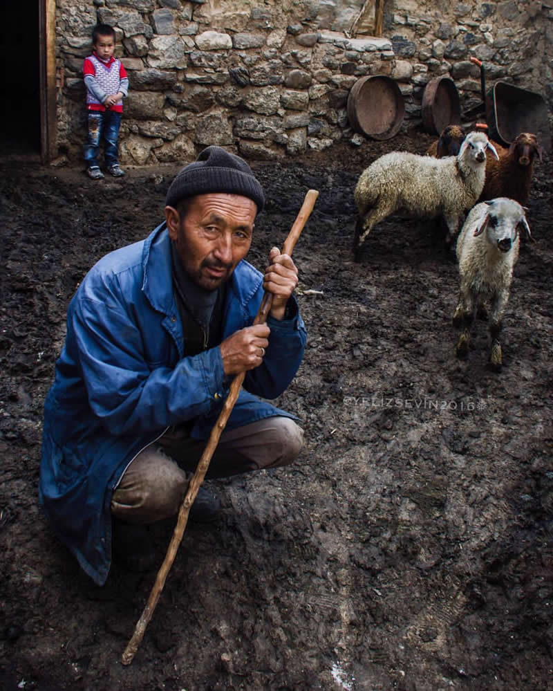 Village Life in Turkey by Yeliz Sevin