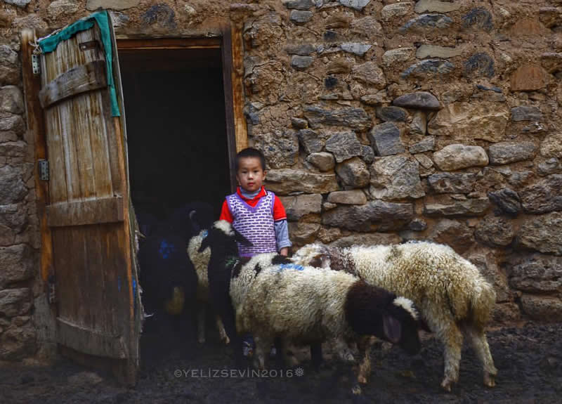 Village Life in Turkey by Yeliz Sevin