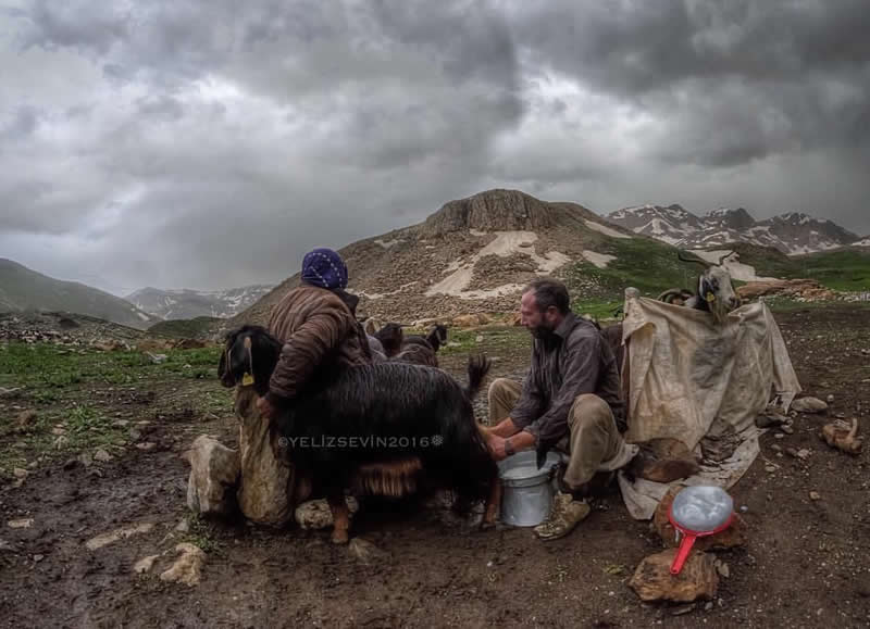 Village Life in Turkey by Yeliz Sevin