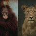 Wildlife Photography by Donal Boyd