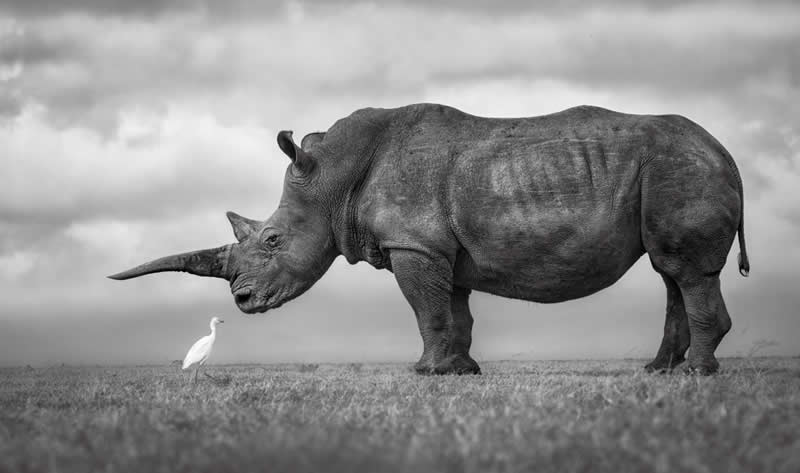 Wildlife Photography by Preeti and Prashant