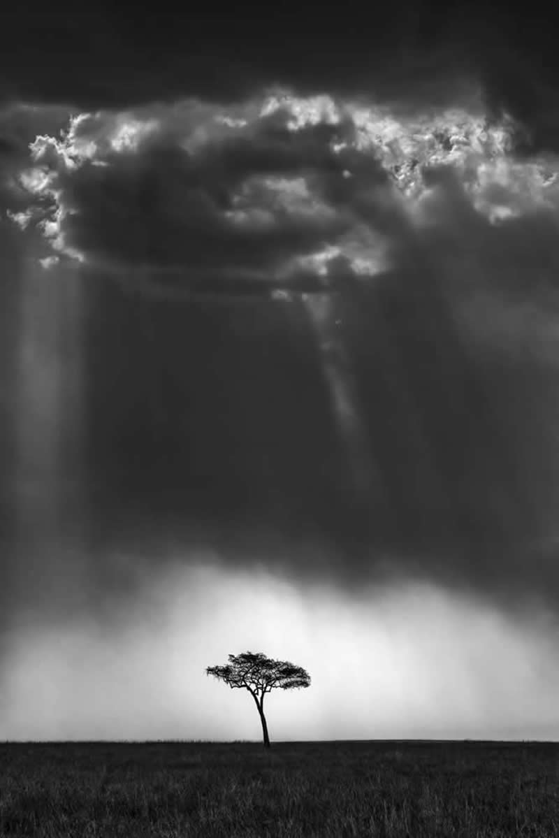 Wildlife Photography by Preeti and Prashant