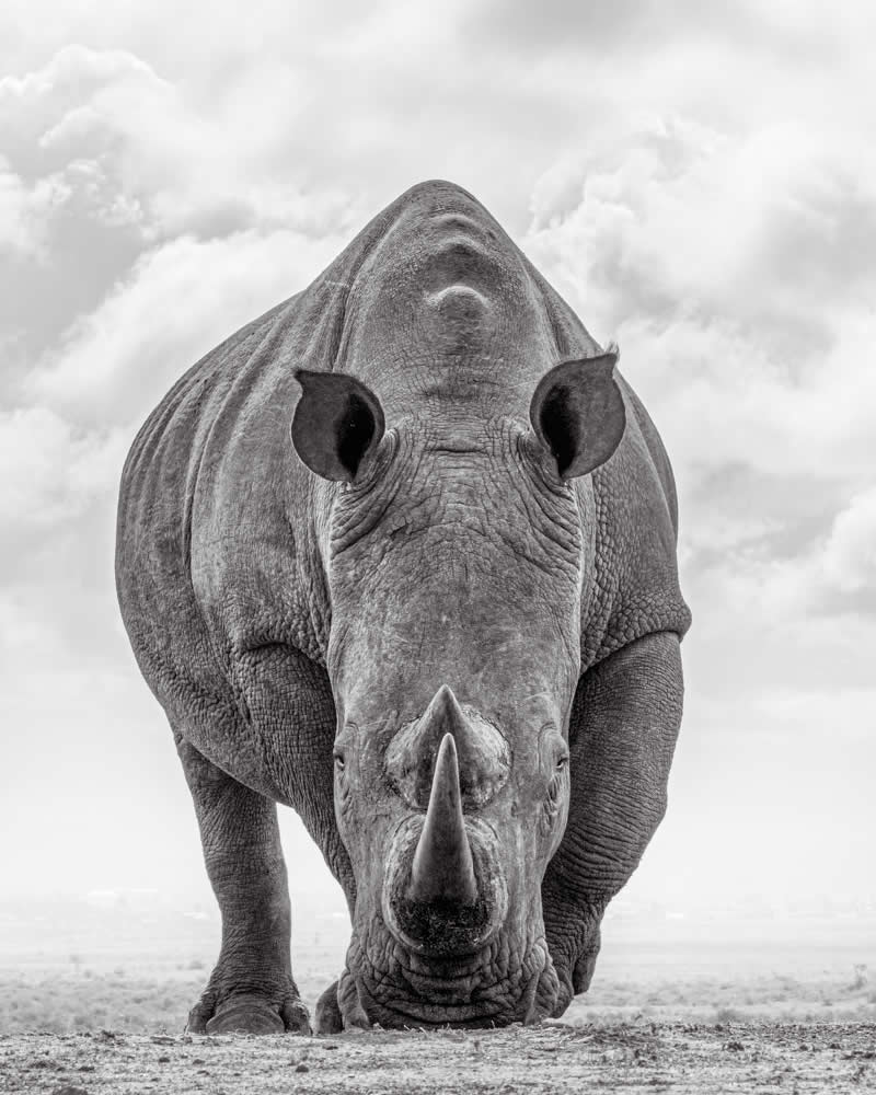 Wildlife Photography by Preeti and Prashant