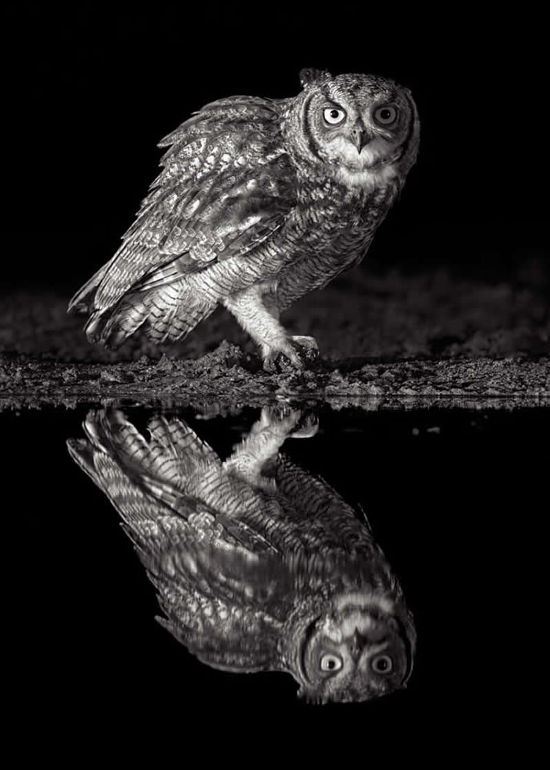 Wildlife Photography by Preeti and Prashant