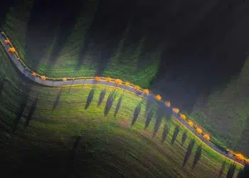 `Aerial view of a winding rural road lined with autumn trees casting long shadows across green farmland at golden hour