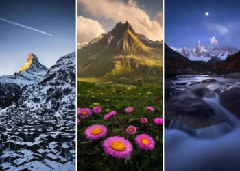 Best 2025 landscape photography collage