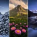 Best 2025 landscape photography collage