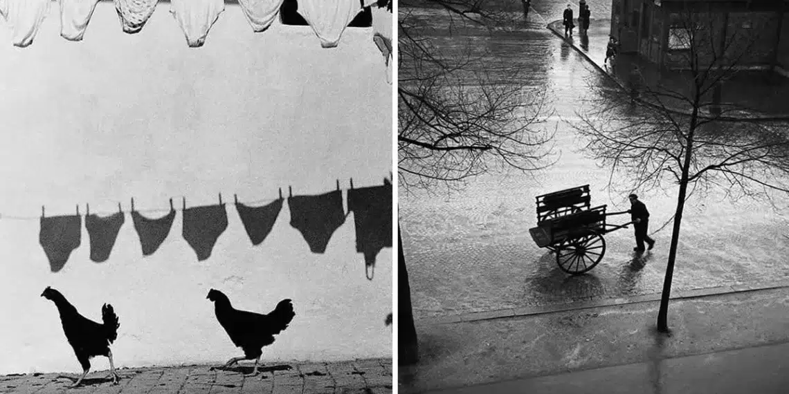 30 Artistic Black and White Photographs That Celebrate Focus, Form, and Subject