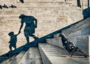 Pigeon on steps beside shadow of adult and child holding hands