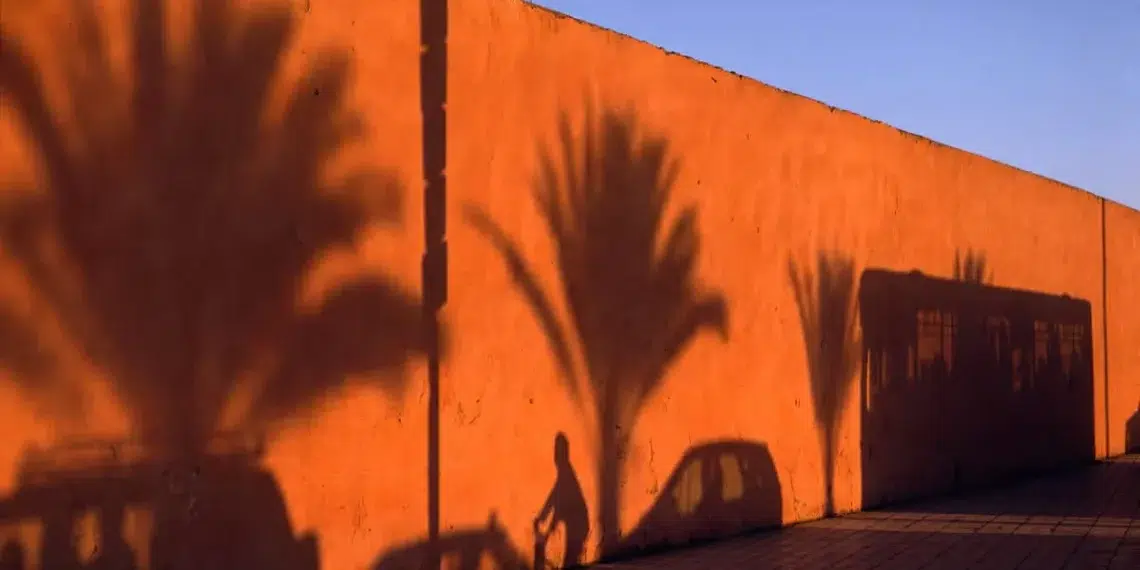 Shadows of palm trees, a person, and a car cast on a vibrant orange wall in Morocco
