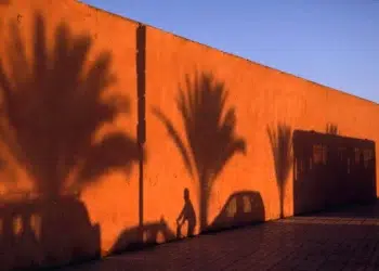 Shadows of palm trees, a person, and a car cast on a vibrant orange wall in Morocco