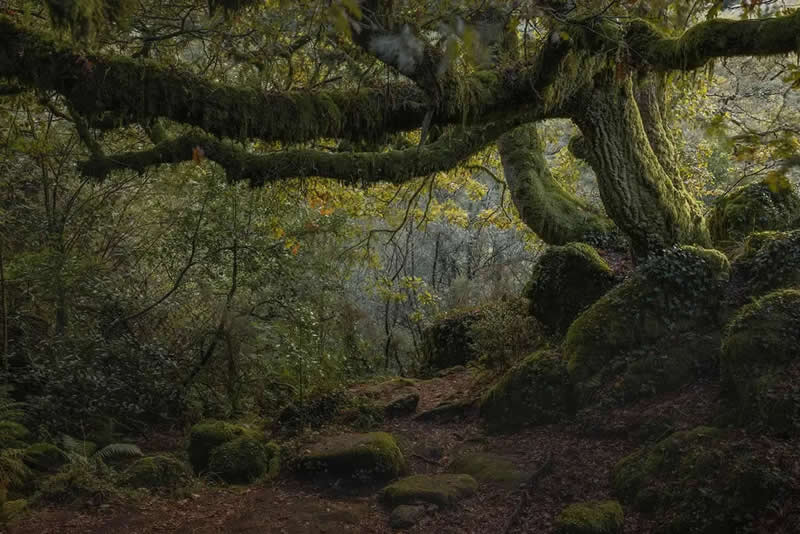 AAP Magazine Nature Photography Winners