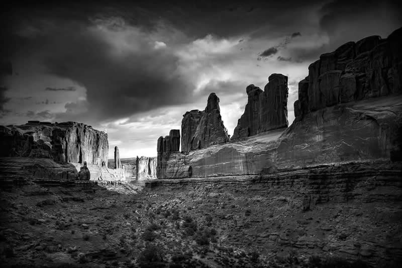 AAP Magazine Nature Photography Winners