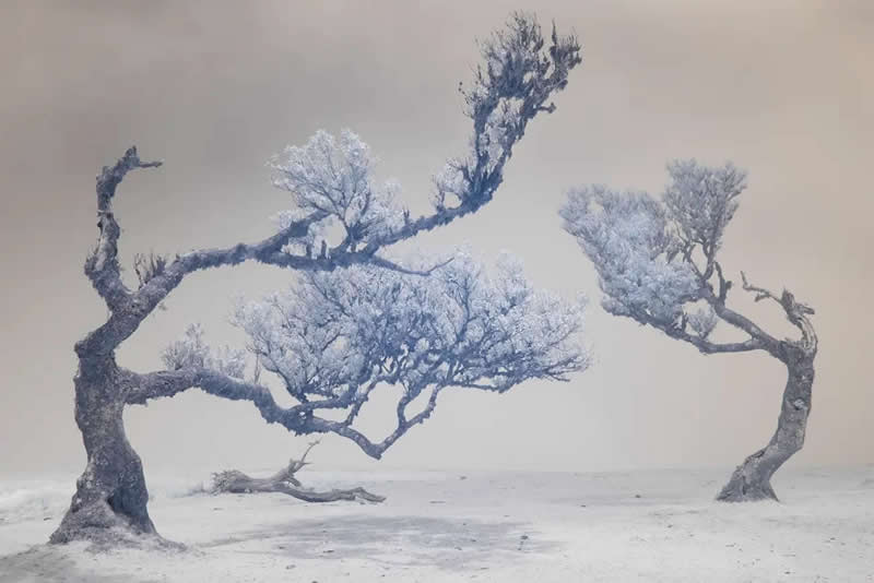 AAP Magazine Nature Photography Winners