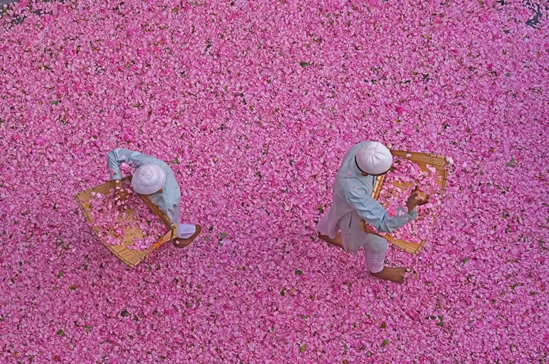 Aroma Story by Somenath Mukhopadhyay, India - 2025 AAP Magazine Awards Travel Photography Winners
