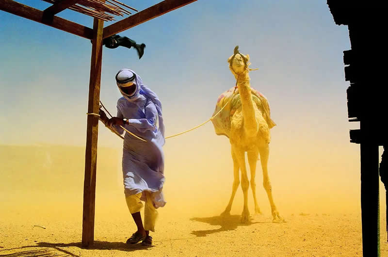 Bajao boys in Mangrove forest by Sanghamitra Sarkar, India - 2025 AAP Magazine Awards Travel Photography Winners