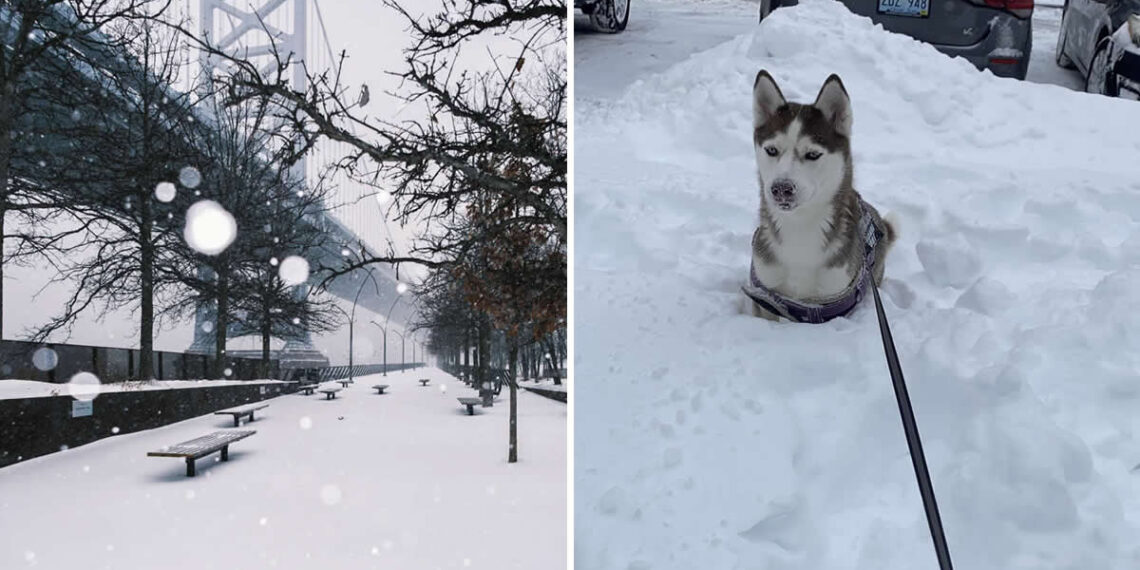 America Massive Winter Storm Photos