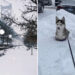 America Massive Winter Storm Photos