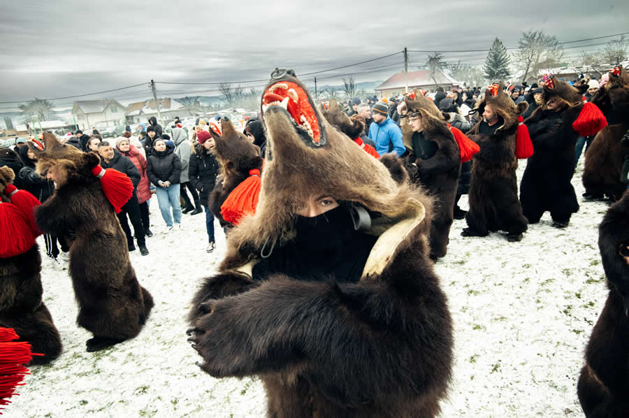 Bear Festival in the Trotuș Valley by Selaru Ovidiu