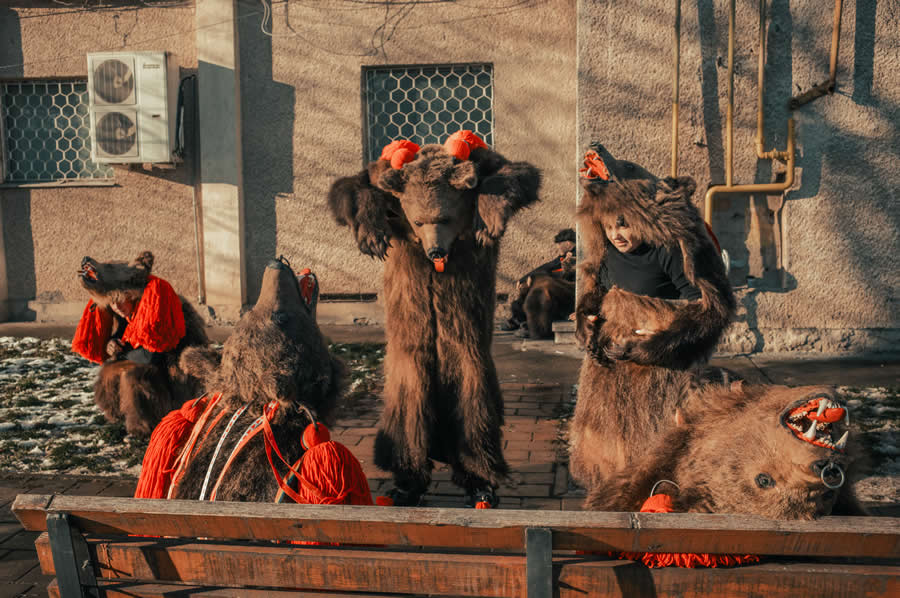 Bear Festival in the Trotuș Valley by Selaru Ovidiu