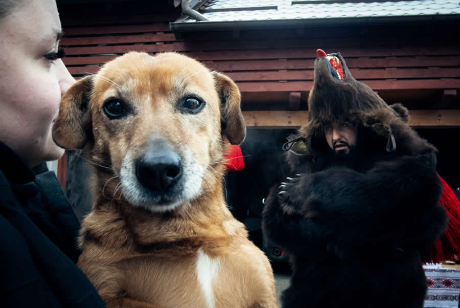 Bear Festival in the Trotuș Valley by Selaru Ovidiu