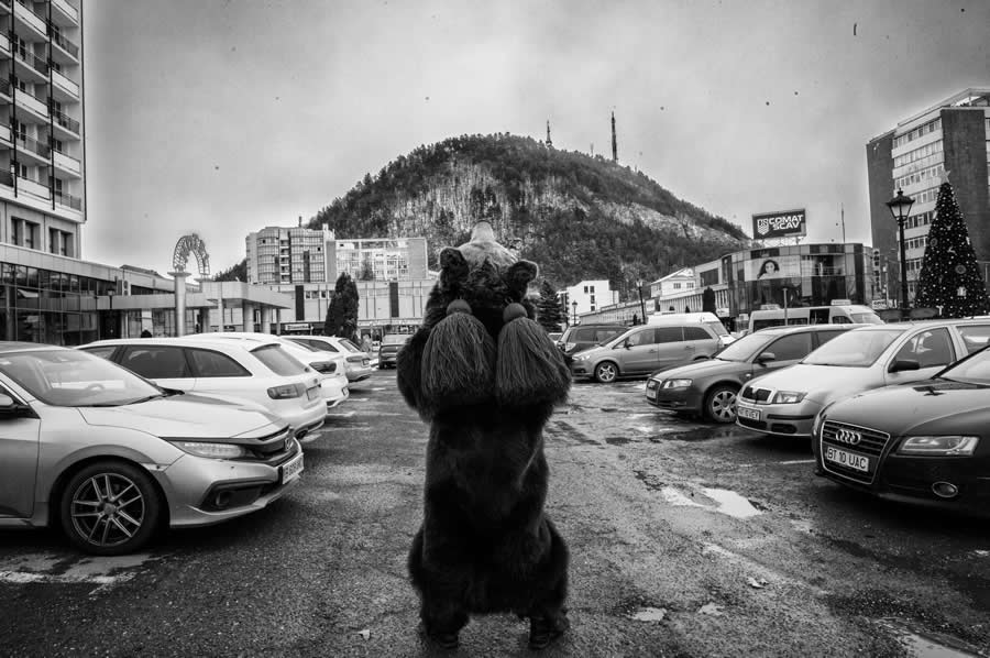 Bear Festival in the Trotuș Valley by Selaru Ovidiu