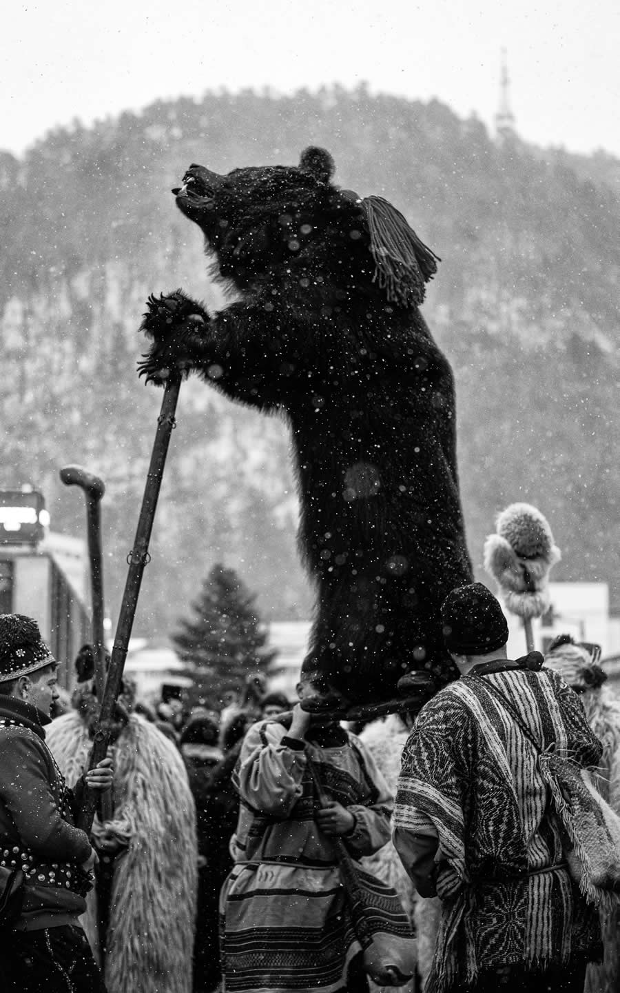 Bear Festival in the Trotuș Valley by Selaru Ovidiu