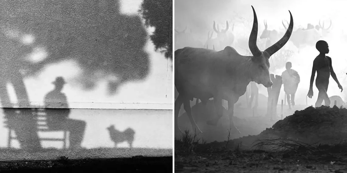 best of 2025 black and white photography