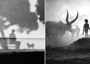 best of 2025 black and white photography