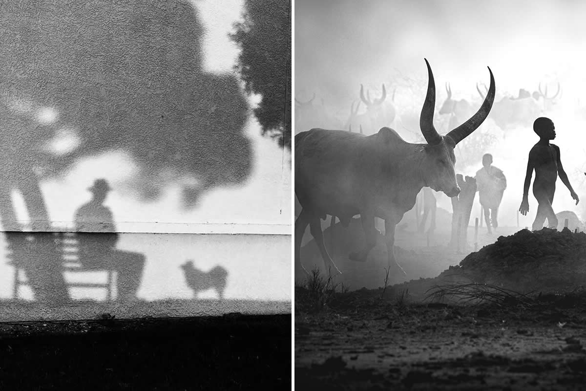 Best of 2025: 35 Striking Black and White Photos That Won Top Photography Awards