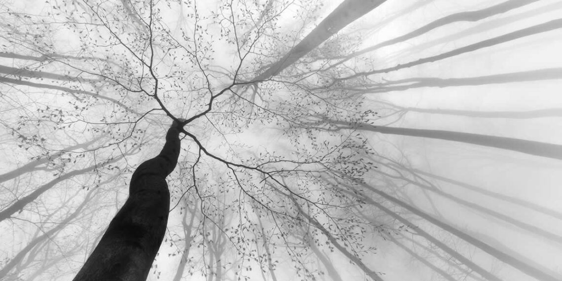 Best of 2025: 30 Award-Winning Minimalist Photos That Proved Less Is More