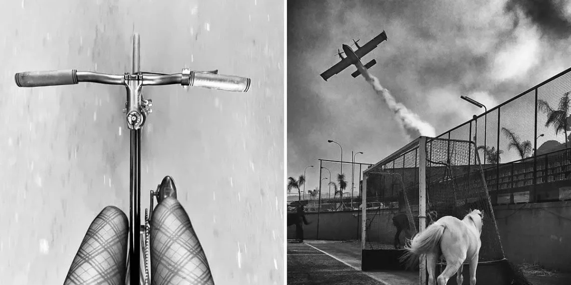 black and white photos mobile photography awards